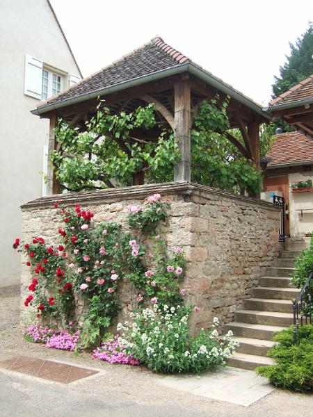 2010-05- (115).JPG